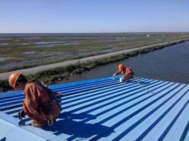 夷陵钢结构屋面漏水原因